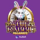 White Rabbit