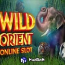 Wild Orient