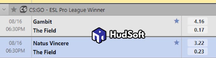 Cược đội chiến thắng giải đấu trong cá cược CS:GO