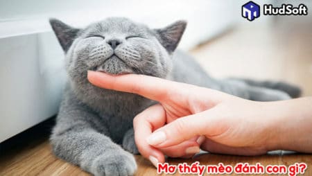 Giấc mơ thấy mèo đánh con gì và giải mã ở từng tình huống