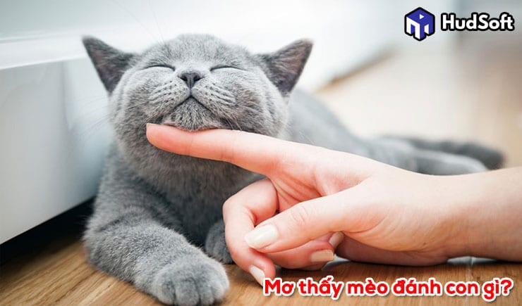 Giấc mơ thấy mèo đánh con gì và giải mã ở từng tình huống